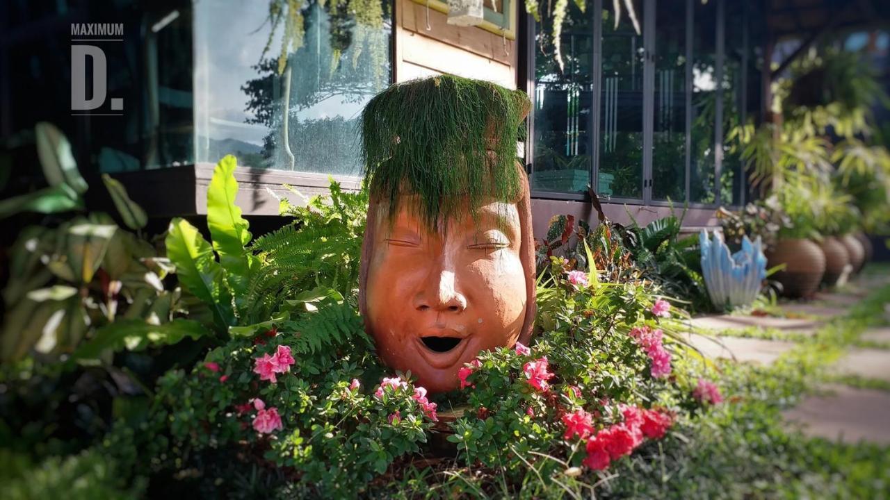 לינה וארוחת בוקר Fang Gumbie House מראה חיצוני תמונה